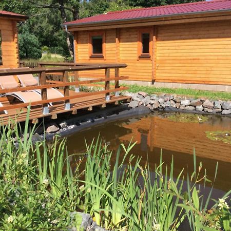 Willa Blockhaus Harzblick Standard Hohegeiß Zewnętrze zdjęcie