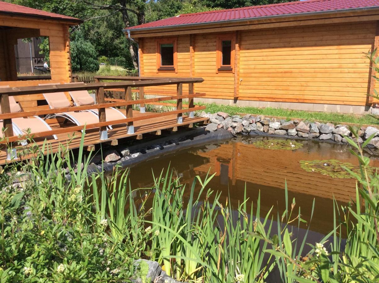 Willa Blockhaus Harzblick Standard Hohegeiß Zewnętrze zdjęcie